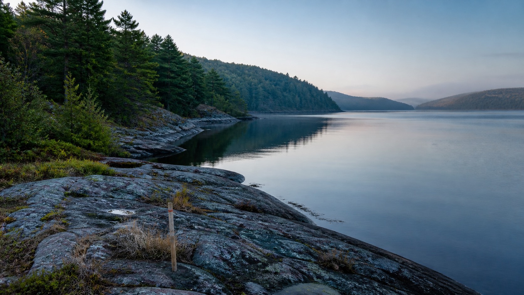 A calm river reach with pine-covered shore and survey stake