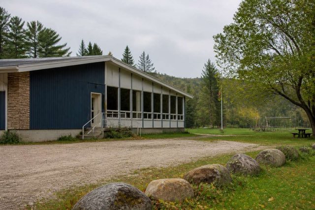 A row of barefoot students in white karategi lined up by belt colour on a worn green tatami in a Dutch sports hall, seen from the side in flat overhead gym lighting, with a coach kneeling at the