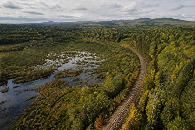 An old rail corridor curving through wetlands and forest from above
