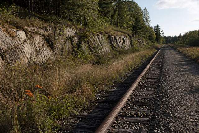 Rail corridor running through grasses and Canadian Shield stone